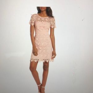 Eliza J Crochet overlay dress
